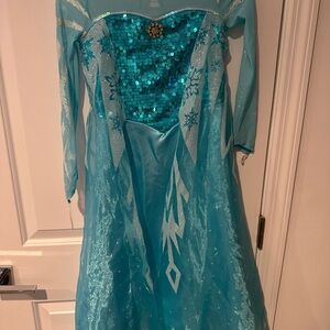 Disney Frozen Elsa Costume - Teal and Silver